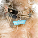 Baby Blue Goofy Font - 2x Tags Dog Name Tags by Bashtags