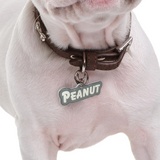 Grey Goofy Font - 2x Tags Dog Name Tags by Bashtags