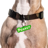 Lime Green Goofy Font - 2x Tags Dog Name Tags by Bashtags