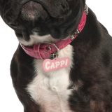 Pastel Pink Goofy Font - 2x Tags Dog Name Tags by Bashtags