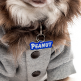 Steel Blue Goofy Font - 2x Tags Dog Name Tags by Bashtags