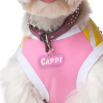 Tickle-Me Pink Goofy Font - 2x Tags Dog Name Tags by Bashtags