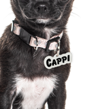 White Goofy Font - 2x Tags Dog Name Tags by Bashtags