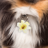 Linen Lily - 2x Tags Dog Name Tags by Bashtags