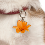 Orange Lily - 2x Tags Dog Name Tags by Bashtags