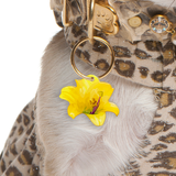Yellow Lily - 2x Tags Dog Name Tags by Bashtags