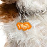 Orange Love-Script Font - 2x Tags Dog Name Tags by Bashtags