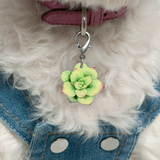 Pink Aloe Succulent - 2x Tags Dog Name Tags by Bashtags