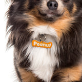 Orange Rock-Sugar Font - 2x Tags Dog Name Tags by Bashtags