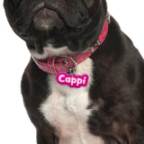 Vivid Pink Rock-Sugar Font - 2x Tags Dog Name Tags by Bashtags