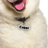 White Rock-Sugar Font - 2x Tags Dog Name Tags by Bashtags