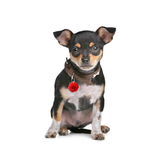 Red Rose - 2x Tags Dog Name Tags by Bashtags