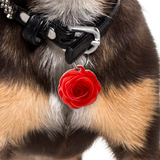 Red Rose - 2x Tags Dog Name Tags by Bashtags