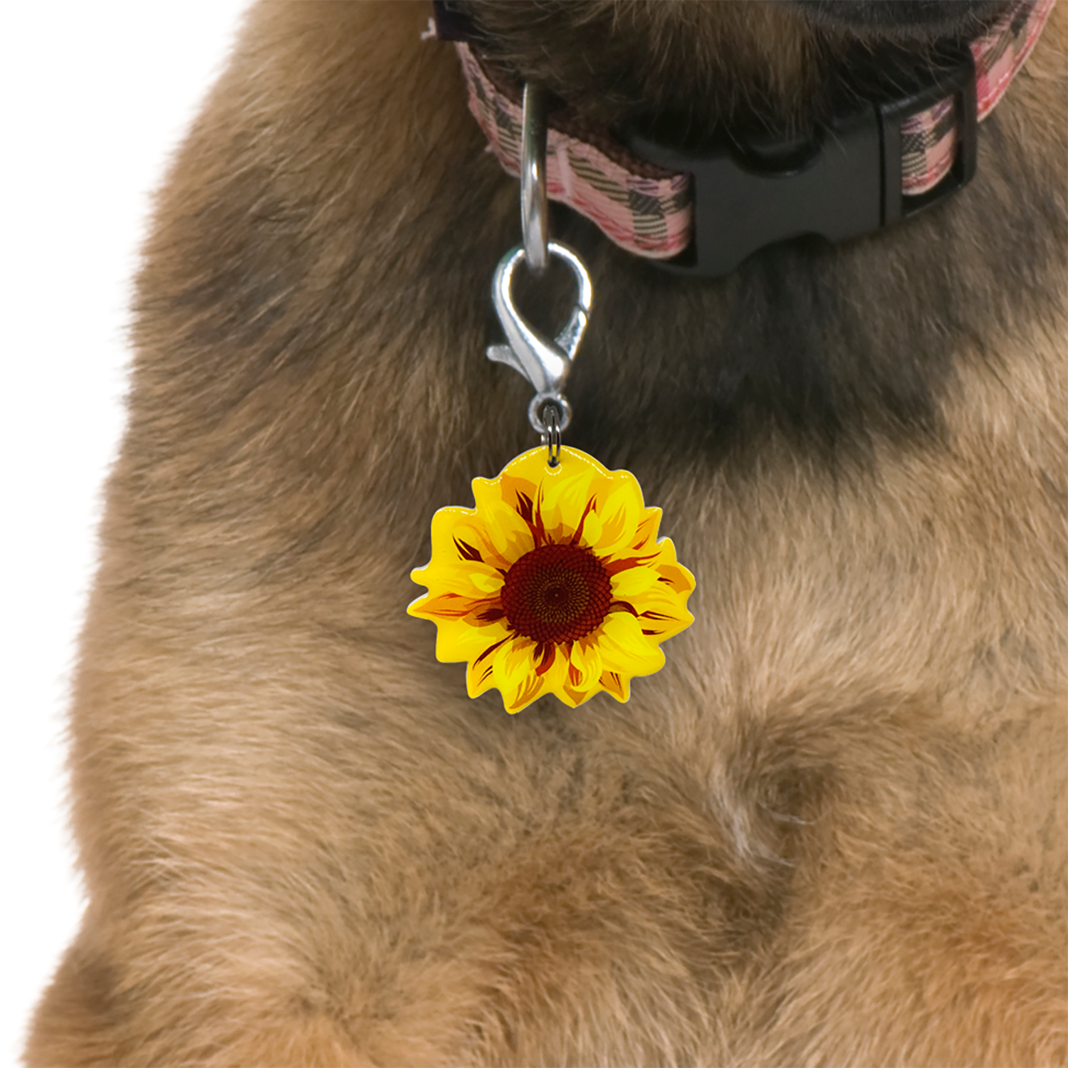 Floral Nylon Personalized Dog Collar with Engraved ID Name and Phone Number S-L Floral Nylon Personalized Dog Collar with Engraved ID Name and Phone Number S-L