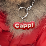 Apple Red Jelly-Bean Font - 2x Tags Dog Name Tags by Bashtags