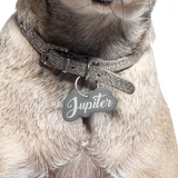 Light Grey Love-Script Font - 2x Tags Dog Name Tags by Bashtags