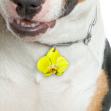 Key Lime Orchid - 2x Tags Dog Name Tags by Bashtags