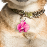 Pink Orchid - 2x Tags Dog Name Tags by Bashtags