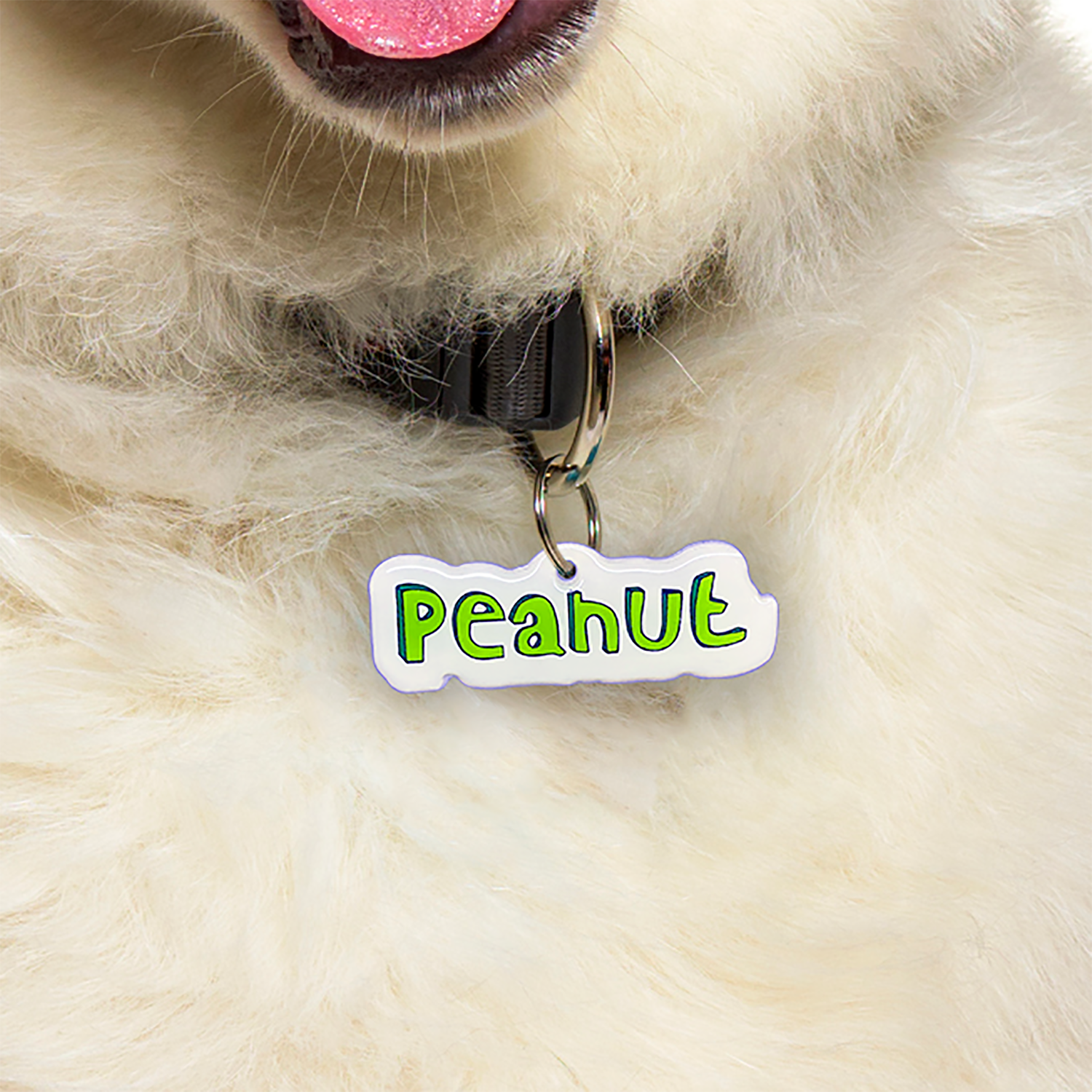 Green 3D Handwriting Font Pet ID Tag by Bashtags
