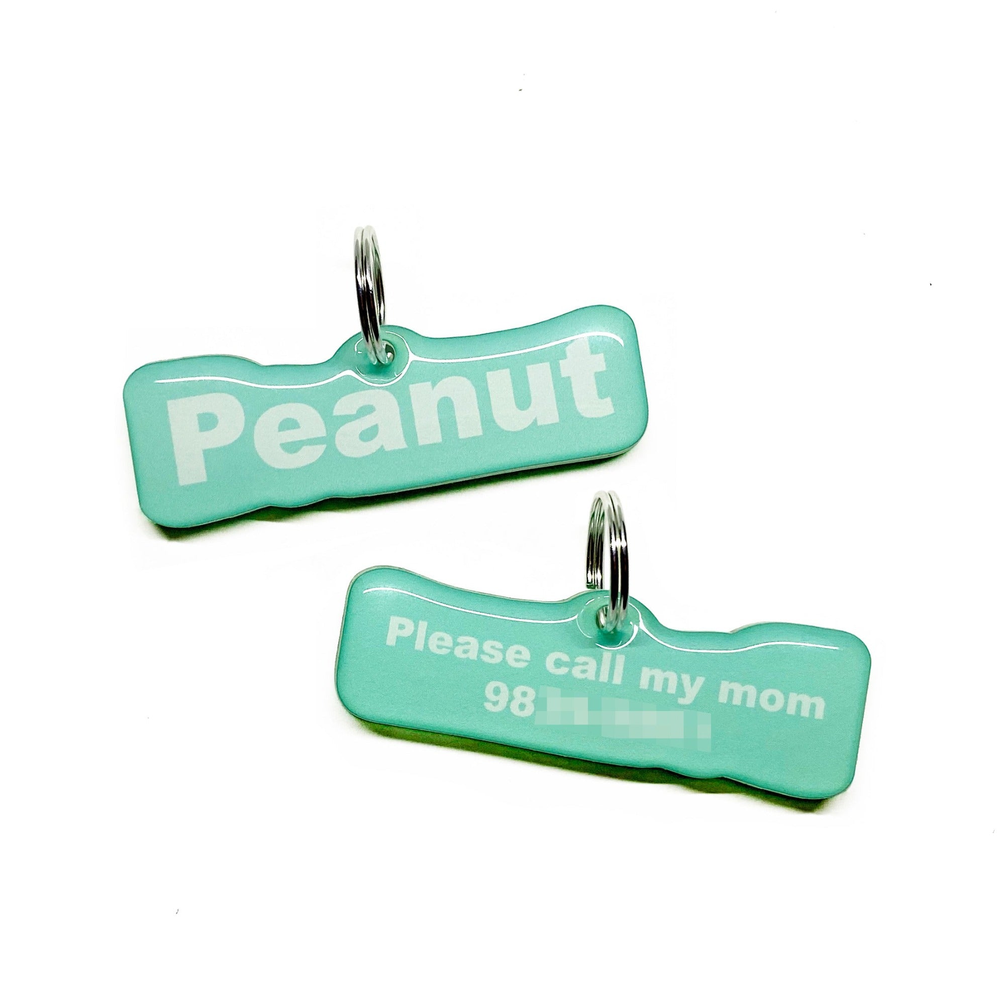 Mint Arial Bold Pet ID Tag by Bashtags