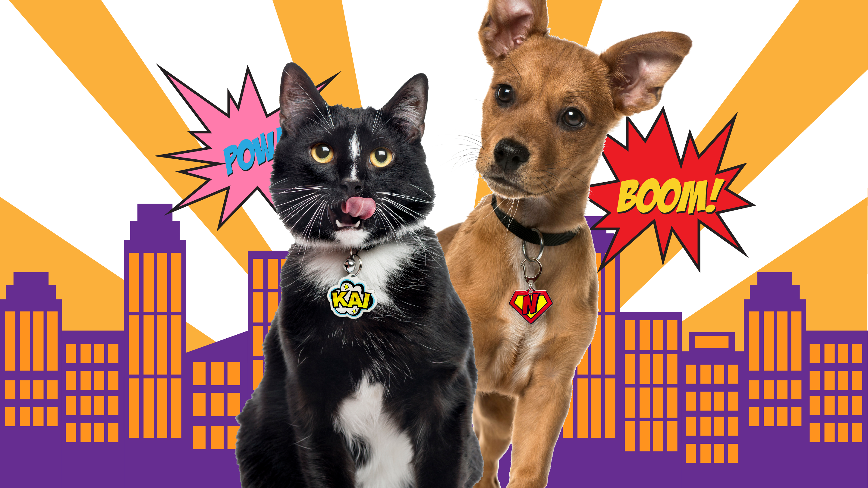 Superhero ID tags for your invincible pets