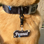 Puppy Gallery Astro Collar and Bashtag set