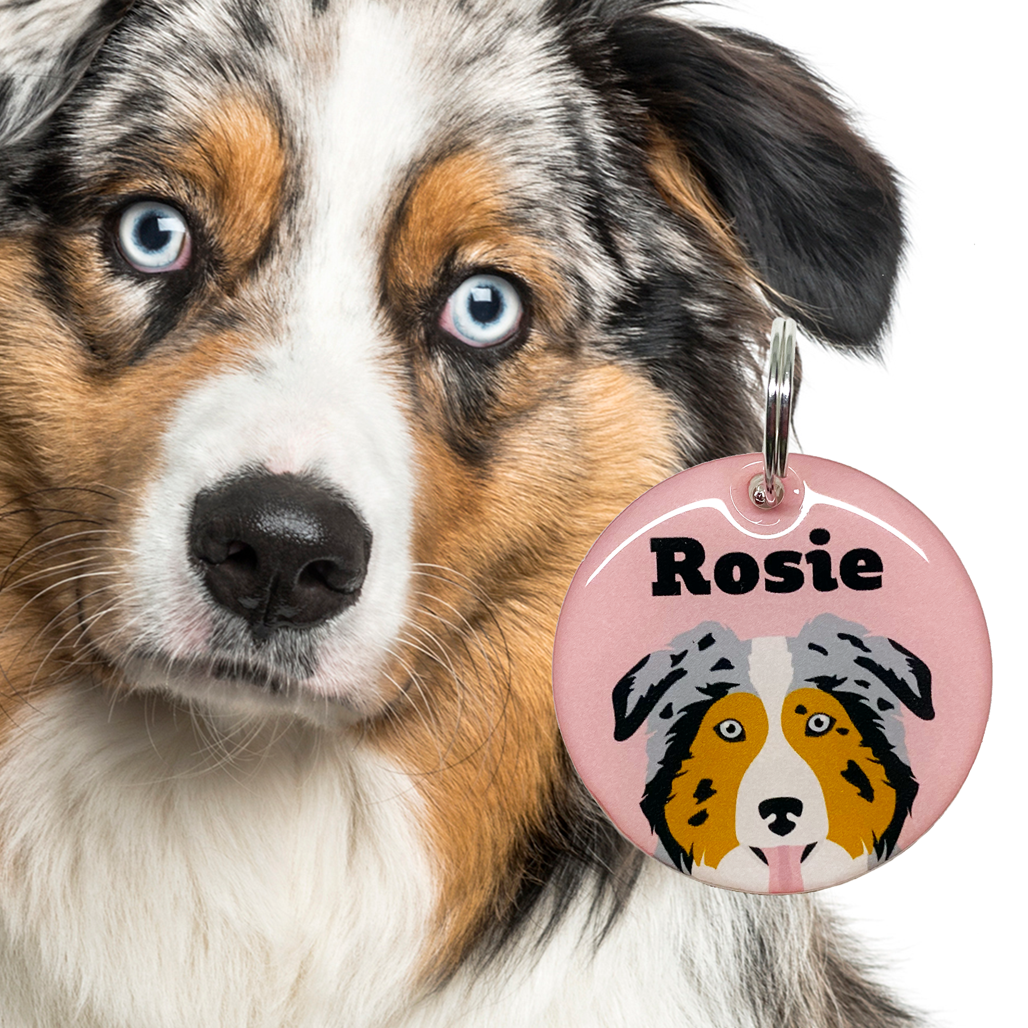 Australian Shepherd Double-Sided Dog Tag | Unique Pet ID Tags by Bashtags®