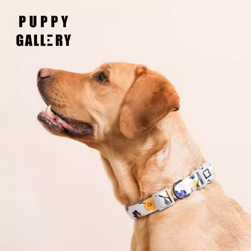 Puppy Gallery Blooming Collar and Bashtag set