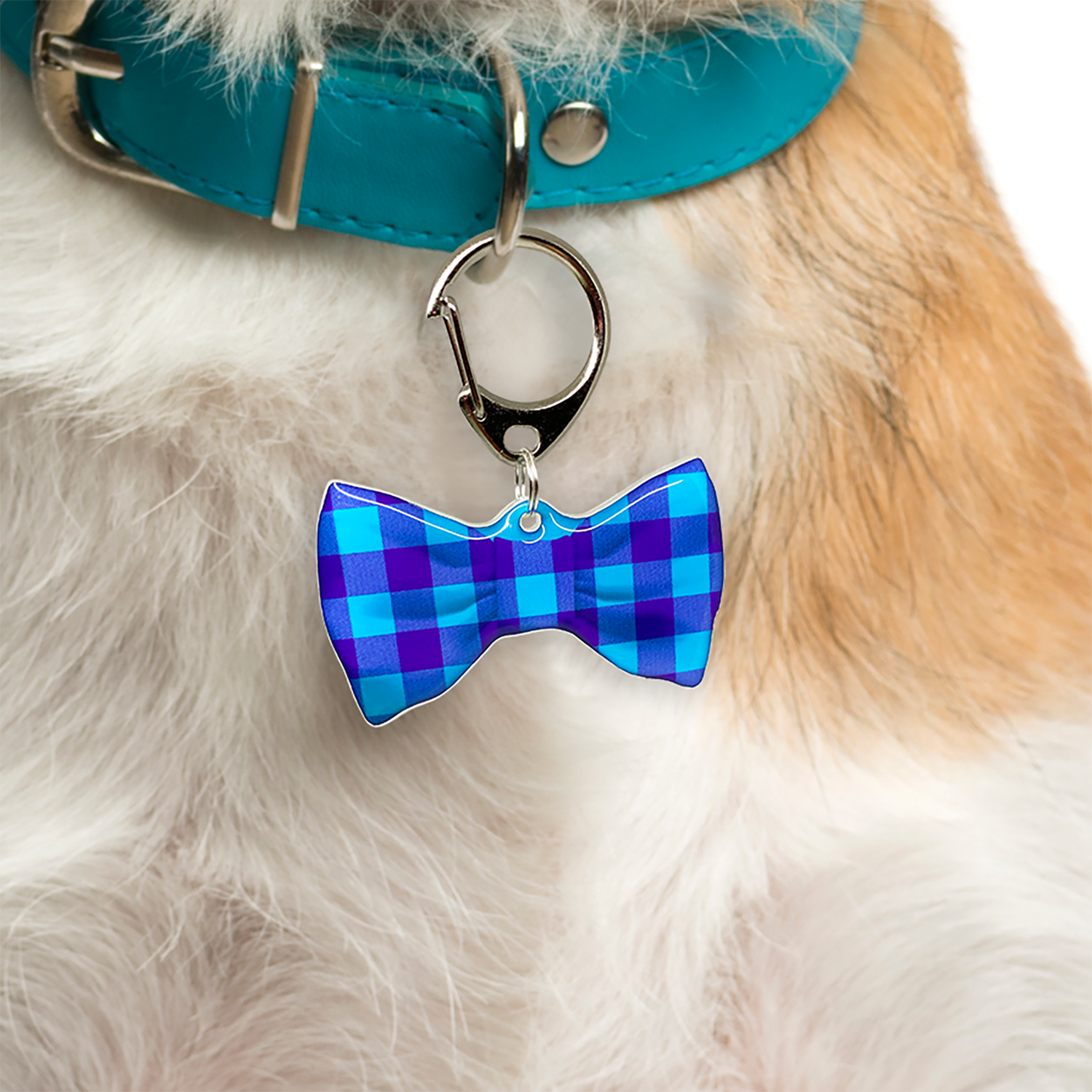 Blue Checkers Bowtie Pet ID Tag Dog Tag | Custom Pet ID Tags by Bashtags®
