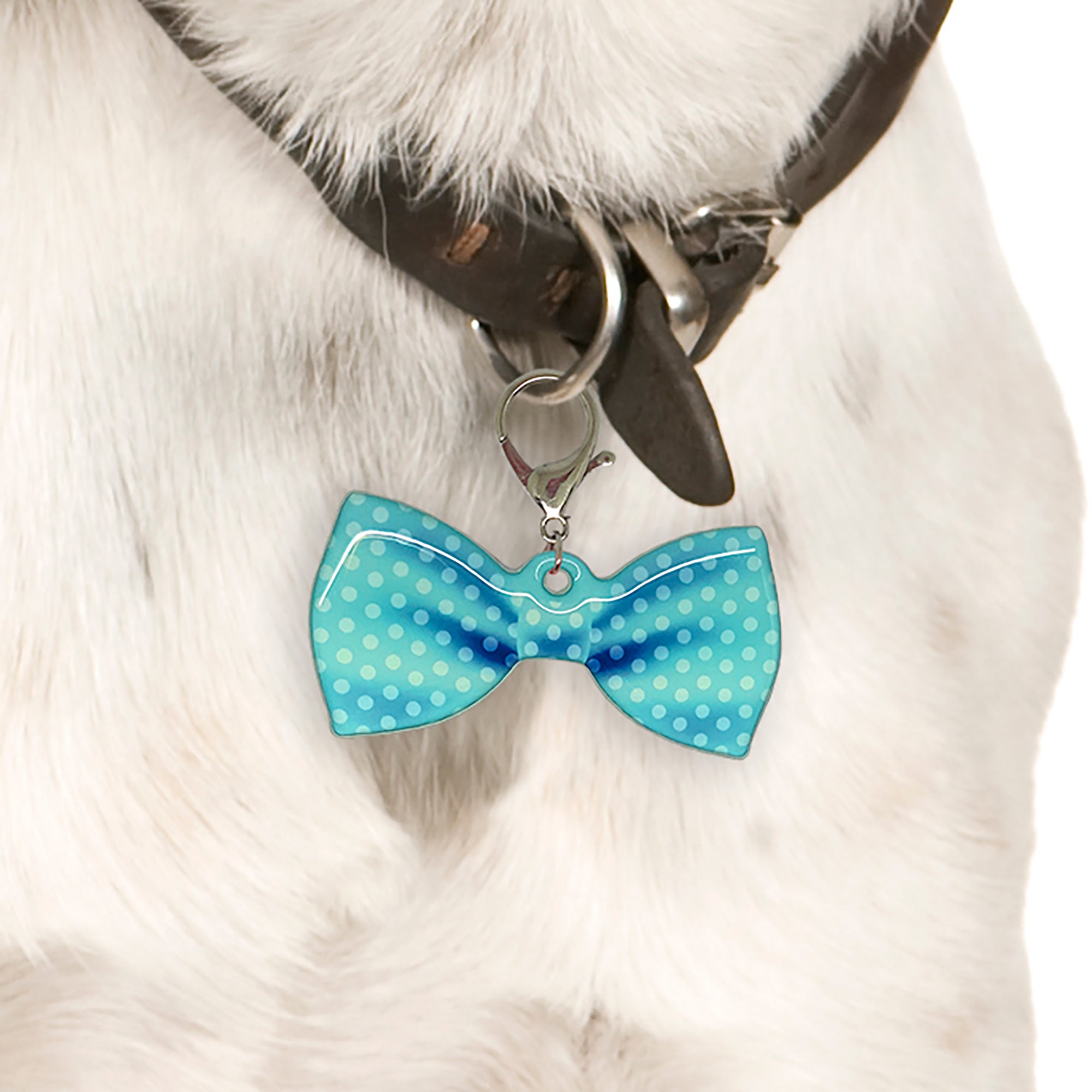 Verdigris Faded Polka Dots Bowtie Pet ID Tag Dog Tag | Custom Pet ID Tags by Bashtags®