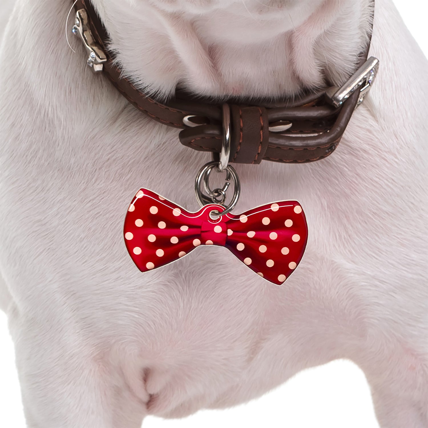 Red Round Club Polka Dots Bowtie Pet ID Tag Dog Tag | Custom Pet ID Tags by Bashtags®