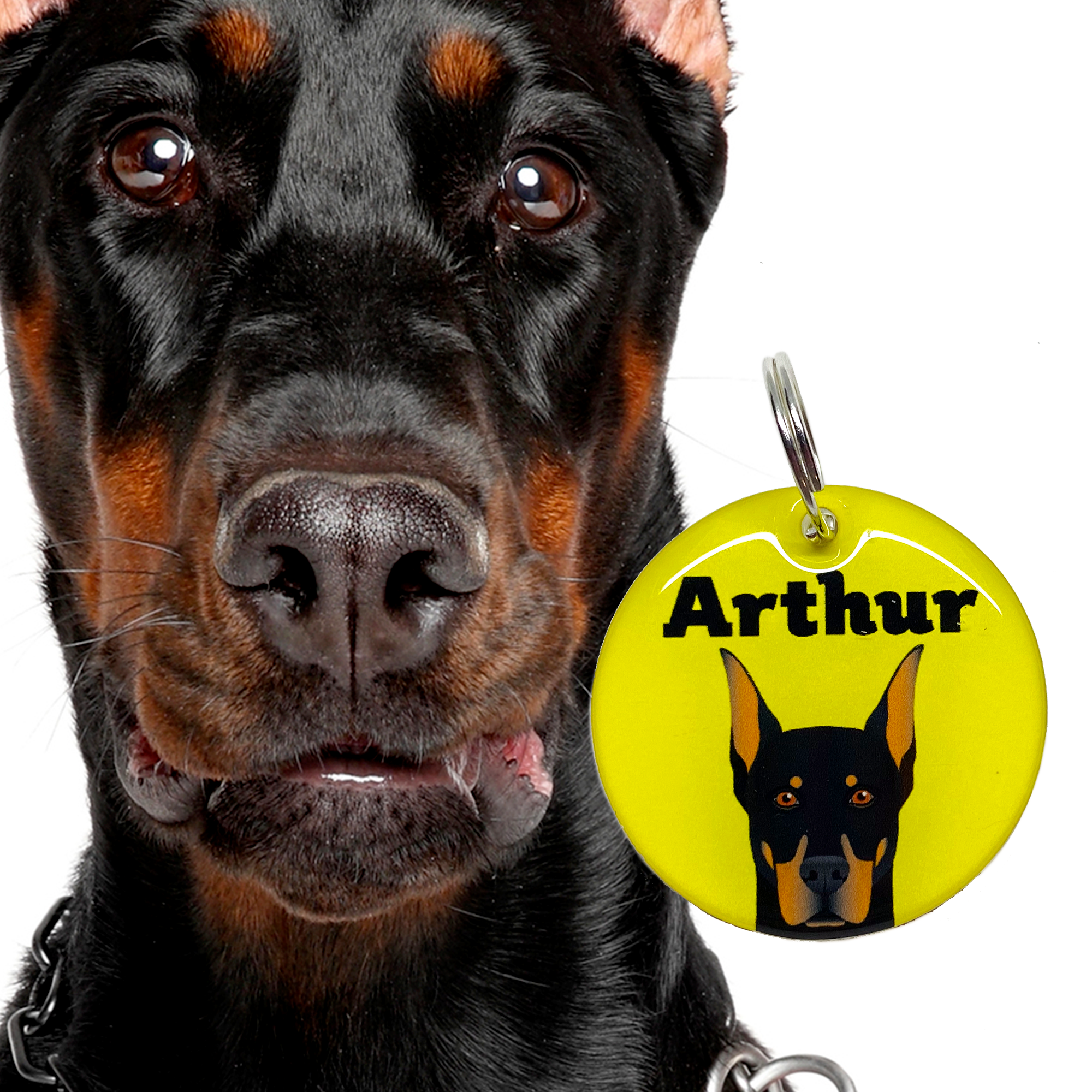 Dobermann Double-Sided Dog Tag | Unique Pet ID Tags by Bashtags®