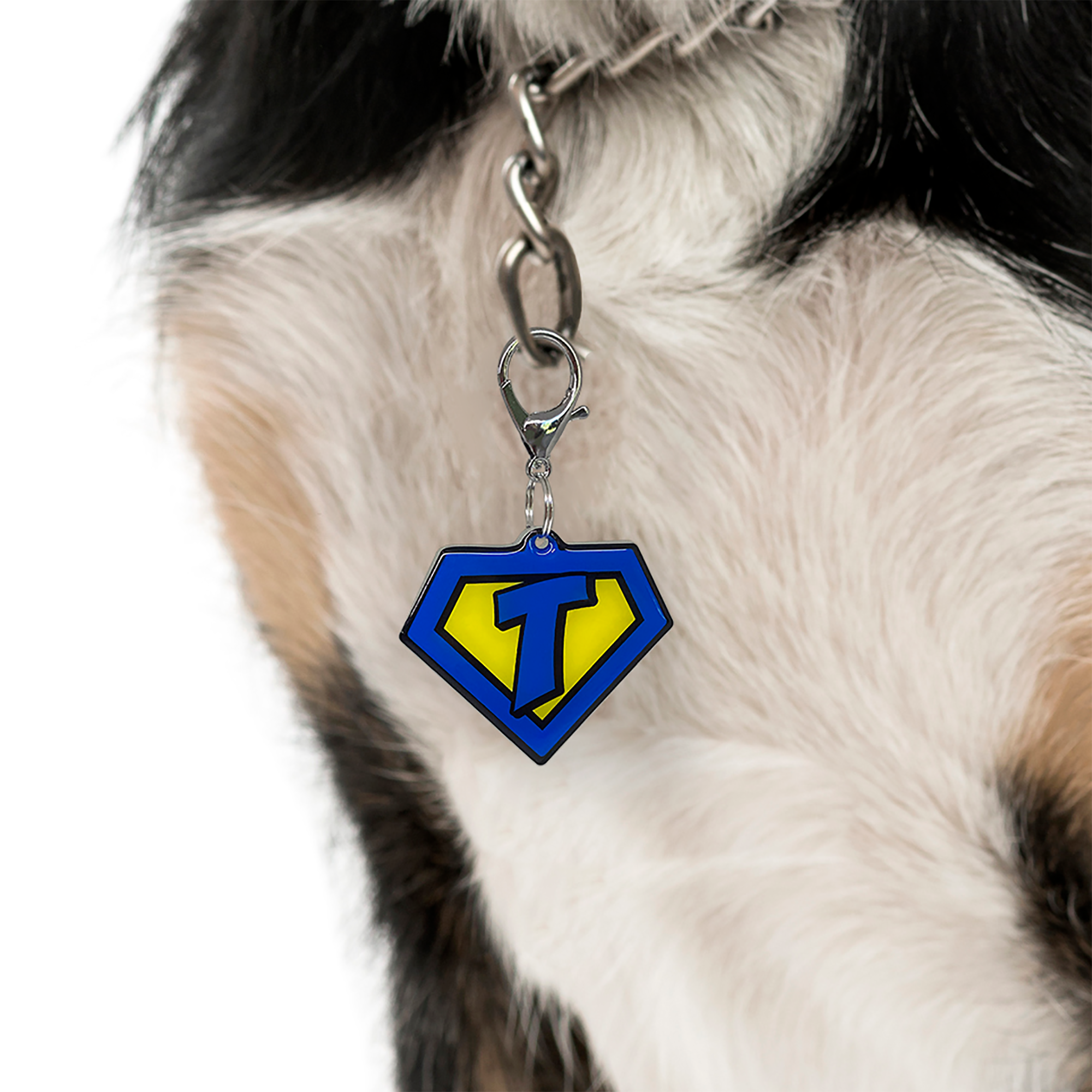 Blue Superhero Emblem - 2x Tags Dog Name Tags by Bashtags