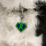 Green Superhero Emblem - 2x Tags Dog Name Tags by Bashtags