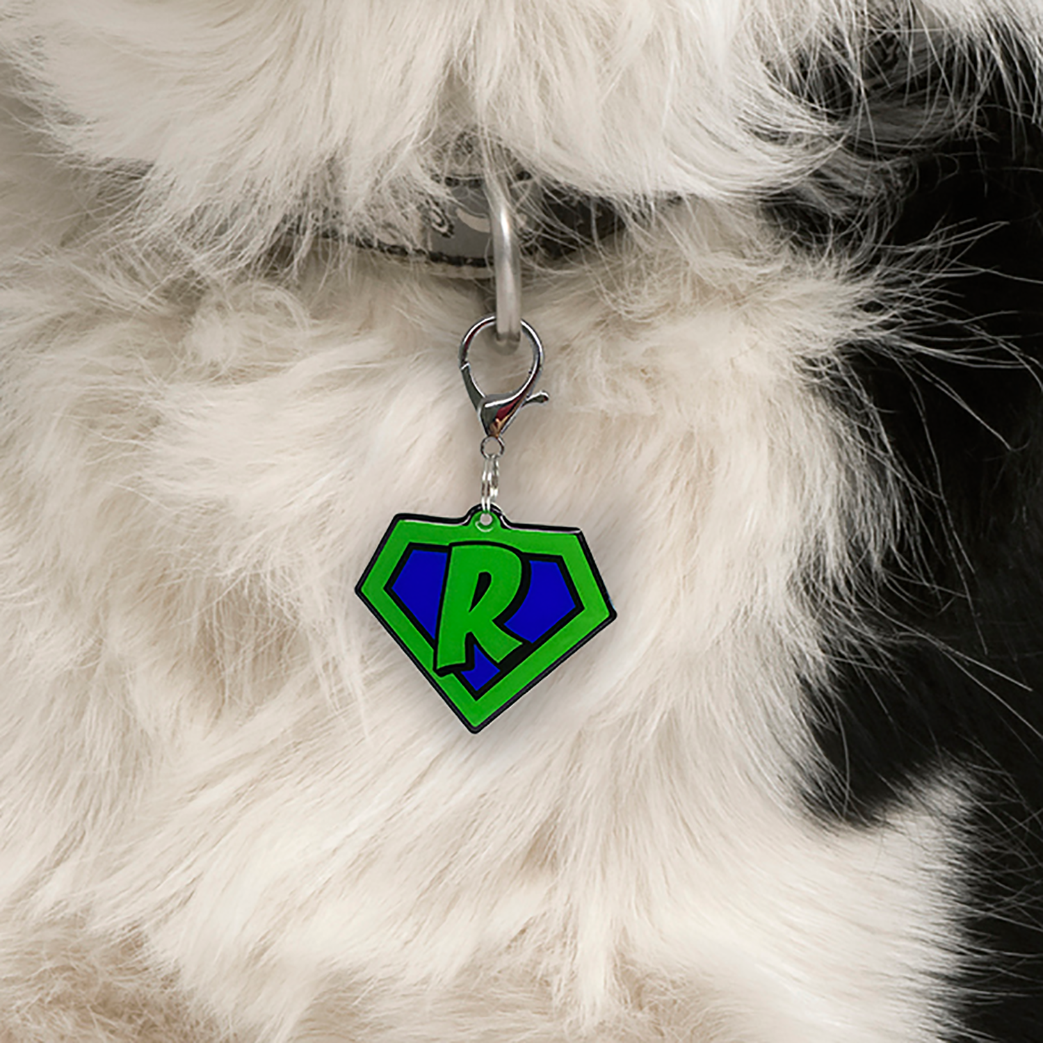 Green Superhero Emblem Pet ID Tag Dog Tag | Custom Pet ID Tags by Bashtags®