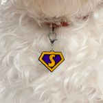 Orange Superhero Emblem Pet ID Tag Dog Tag | Custom Pet ID Tags by Bashtags®