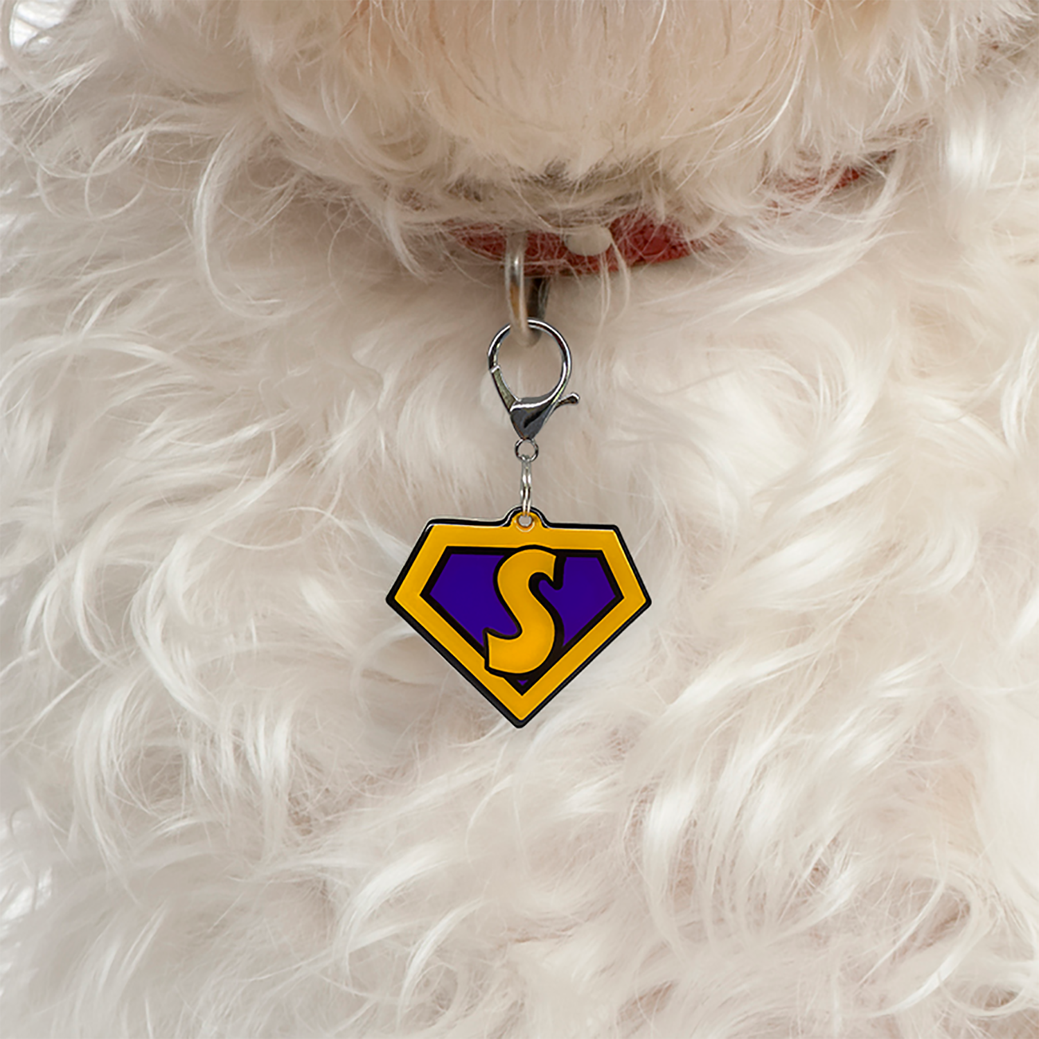 Orange Superhero Emblem - 2x Tags Dog Name Tags by Bashtags