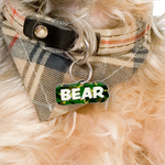 Camo Fern Oasis Rock-Sugar Font - 2x Tags Dog Name Tags by Bashtags