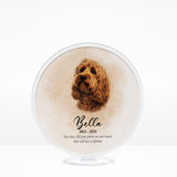 🌈 Furever Memorial Stand