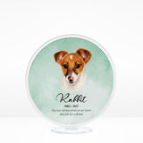 🌈 Furever Memorial Stand