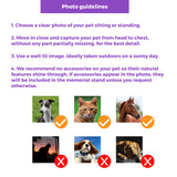 🌈 Furever Memorial Stand