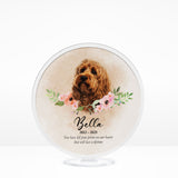 🌈 Furever Memorial Stand