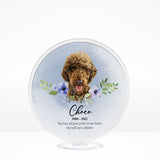 🌈 Furever Memorial Stand