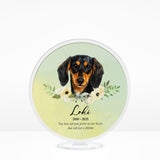 🌈 Furever Memorial Stand