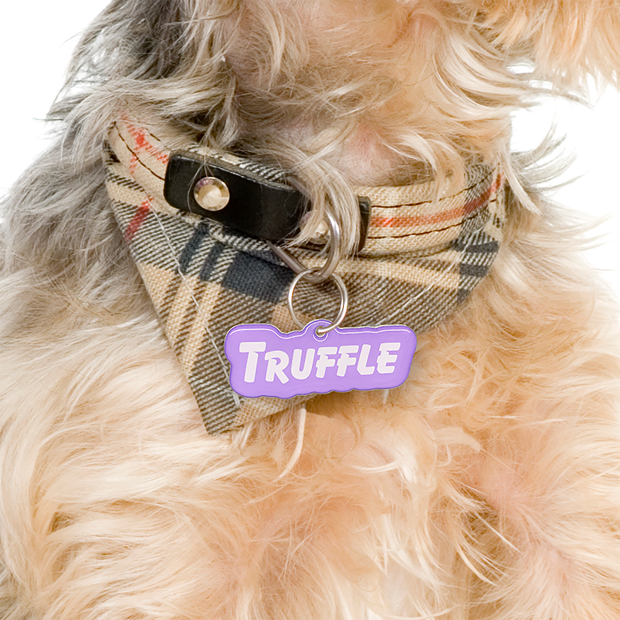 Pastel Violet Goofy Font - 2x Tags Dog Name Tags by Bashtags