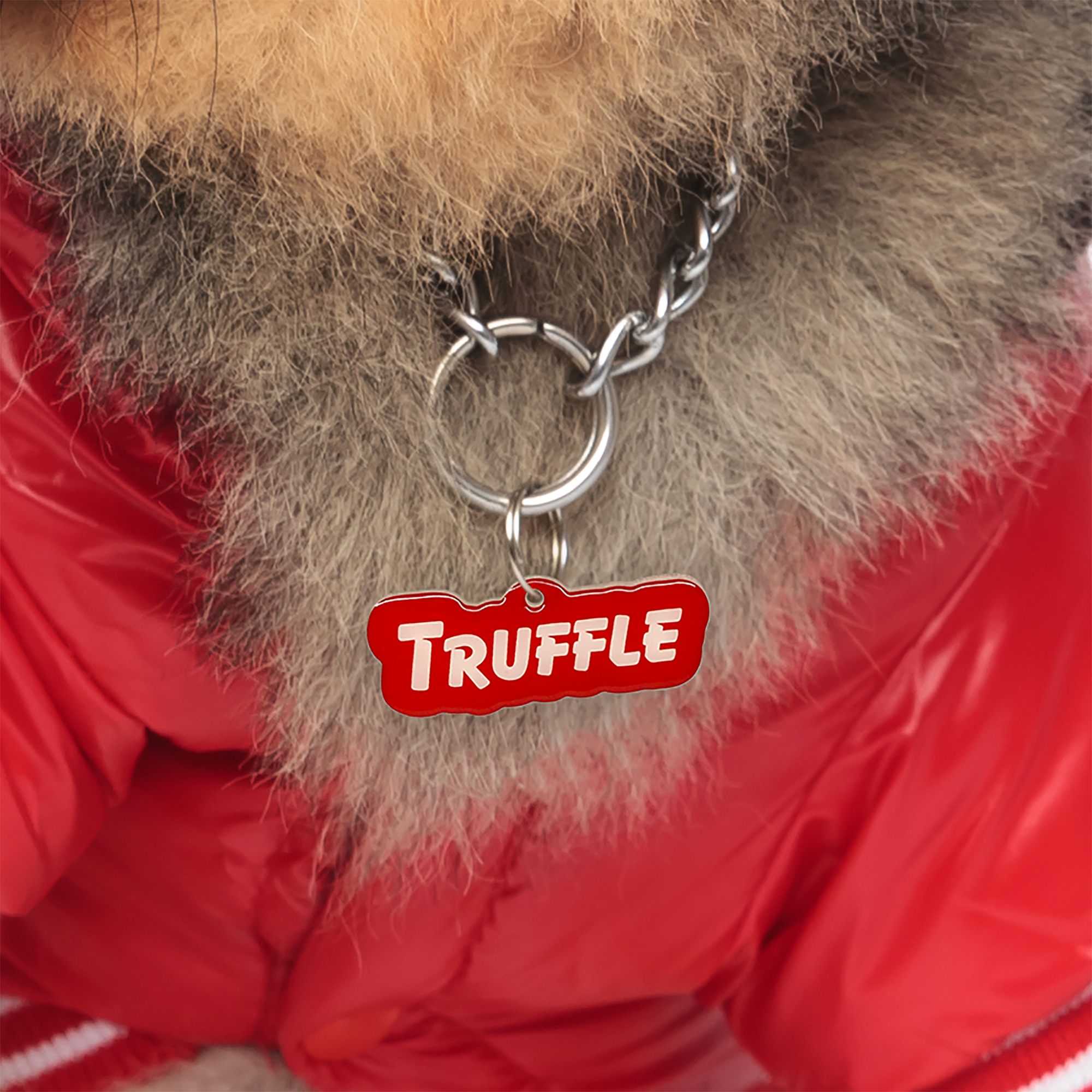 Red Goofy Font Pet ID Tag by Bashtags