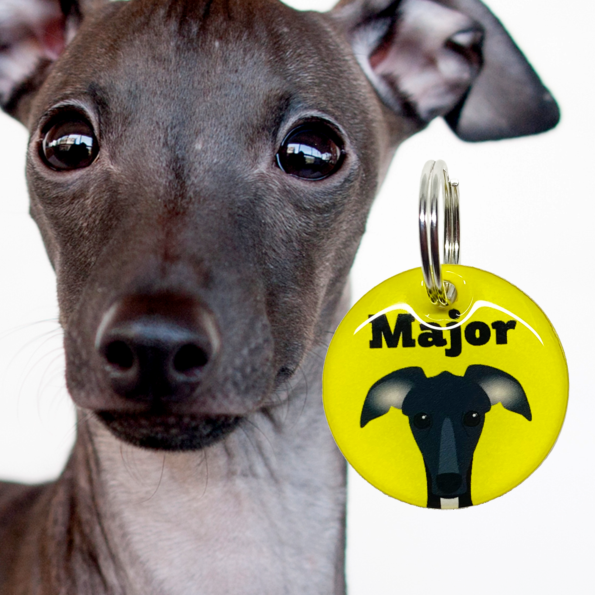 Greyhound - 2x Tags Dog Name Tags by Bashtags