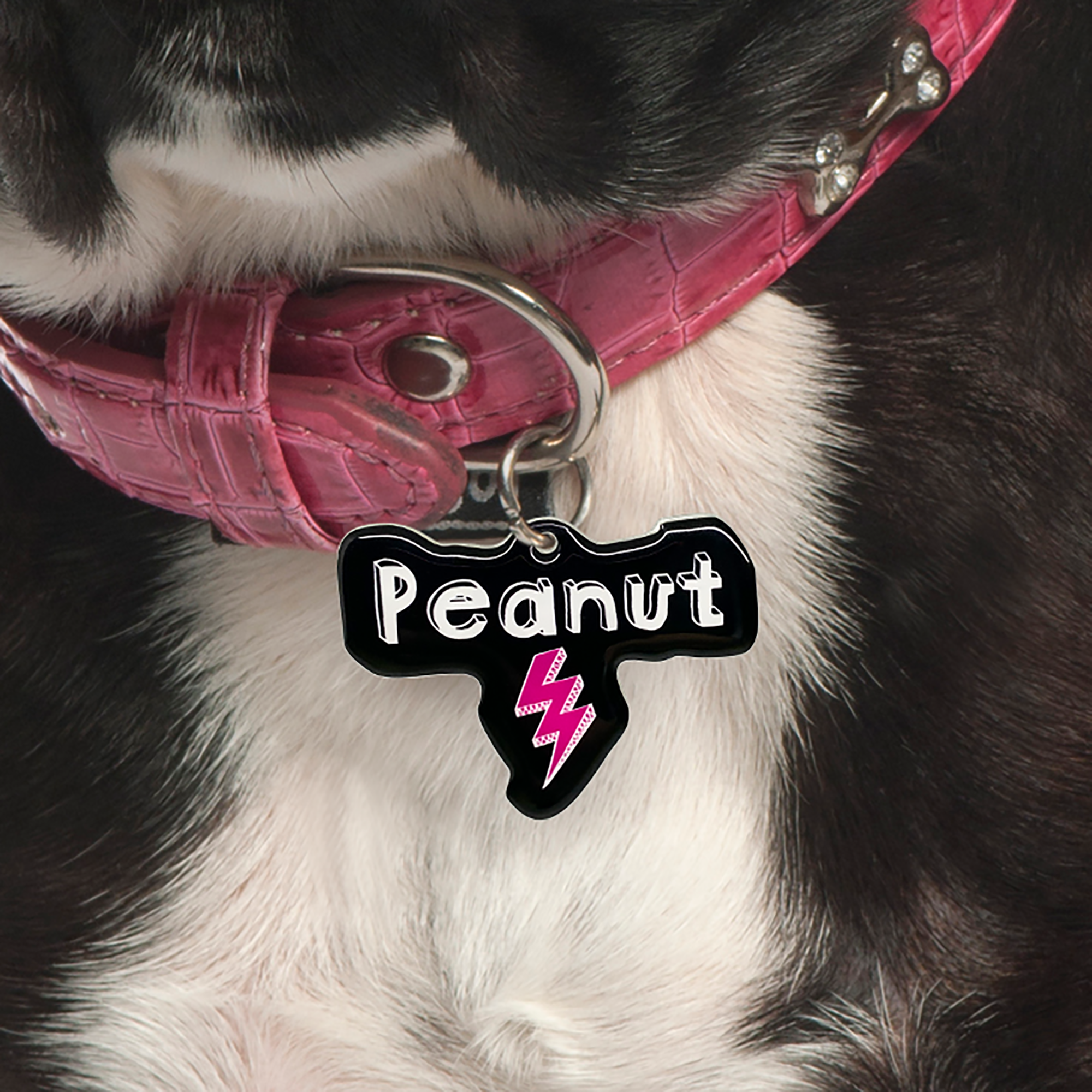 Black + Vivid Pink Lightning Bolt Pet ID Tags in Black | Custom Pet ID Tags Dog Tags by Bashtags®