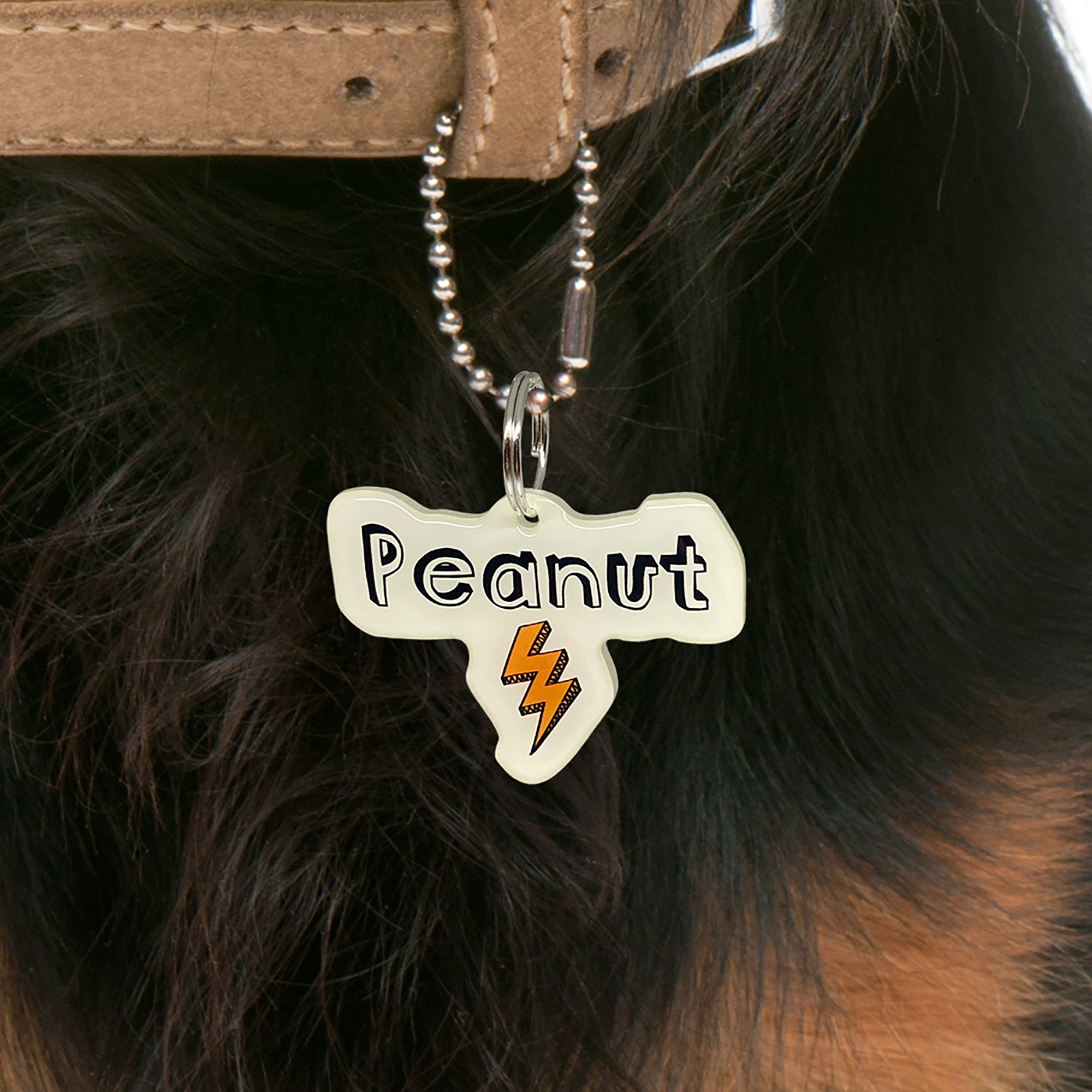 Linen + Carrot Lightning Bolt - 2x Tags Dog Name Tags by Bashtags