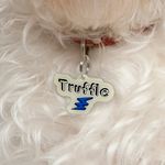 Linen + Lake Blue Lightning Bolt Pet ID Tags in Black | Custom Pet ID Tags Dog Tags by Bashtags®
